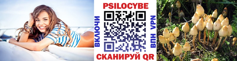 MEGA зеркало  Чайковский  Галлюциногенные грибы прущие грибы 