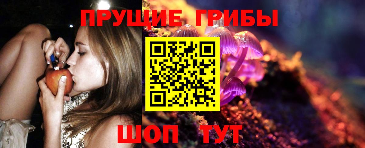 Галлюциногенные грибы Cubensis  как найти закладки  Чайковский  Вход с VPN 