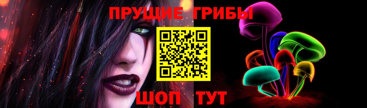 Галлюциногенные грибы мицелий Чайковский