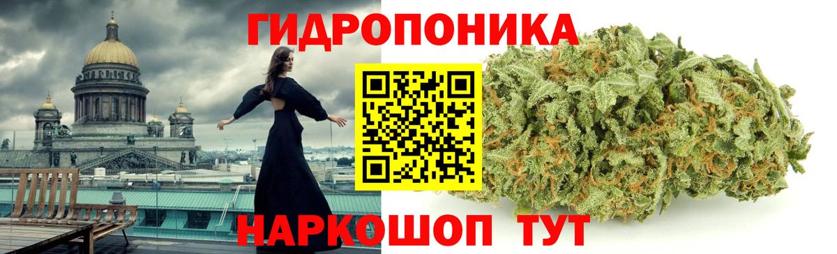 Каннабис семена  Вход с VPN  Чайковский  Шишки марихуана Bruce Banner 
